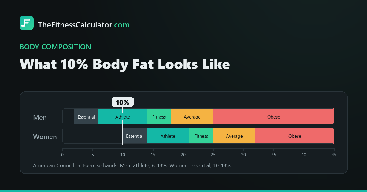 Body fat percentage chart with the American Council on Exercise bands for men and women, marked at 10 percent, which sits in the athlete band for men (6-13%) and in the essential band for women (10-13%)
