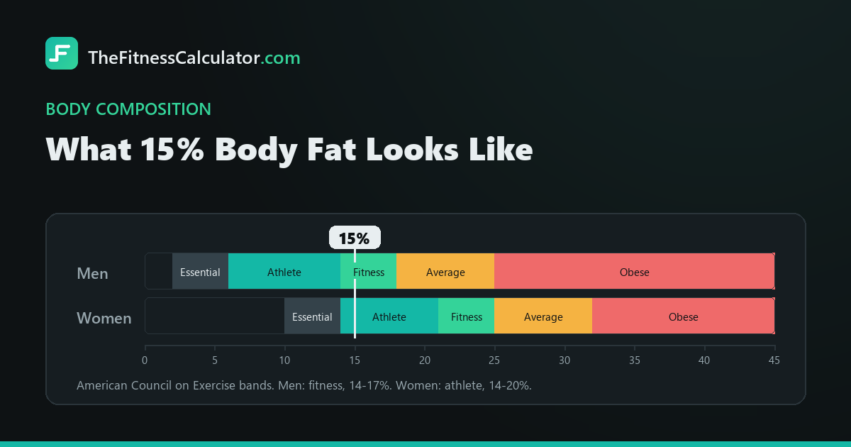 Body fat percentage chart with the American Council on Exercise bands for men and women, marked at 15 percent, which sits in the fitness band for men (14-17%) and in the athlete band for women (14-20%)
