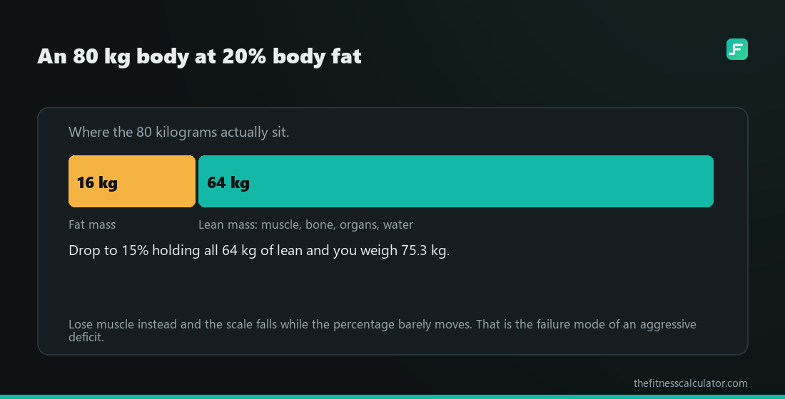 Stacked bar splitting an 80 kg body at 20 percent body fat into 16 kg of fat and 64 kg of lean mass
