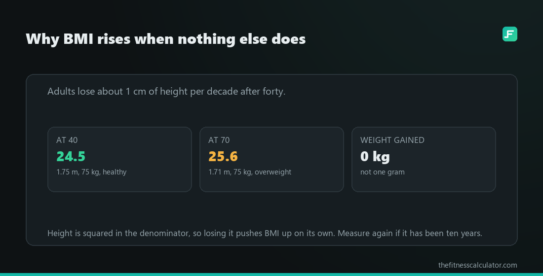 BMI by Age: How the Number Shifts Over a Lifetime Three tiles showing the same 75 kg person reading a BMI of 24.5 at age 40 and 25.6 at age 70 purely from 4 cm of lost height