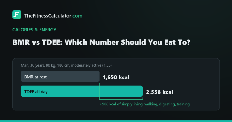 Bar chart comparing a 1,650 kcal resting BMR against a 2,558 kcal TDEE, with the 908 kcal activity gap bracketed