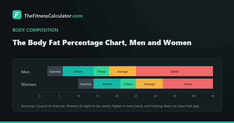 The five American Council on Exercise body fat bands for men and women side by side, from essential fat through athlete, fitness, average and obese