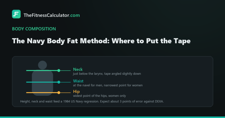 Diagram of a torso marking the three US Navy tape measurement sites at the neck, waist and hip