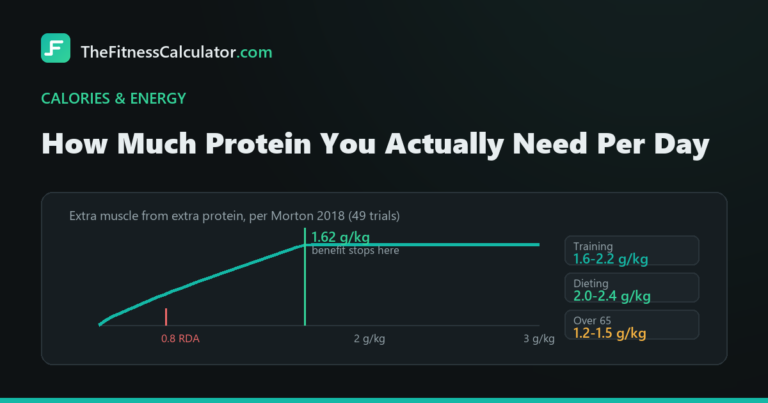 Curve showing the muscle benefit of protein rising then plateauing at 1.62 grams per kilogram, with the 0.8 gram RDA marked far below it