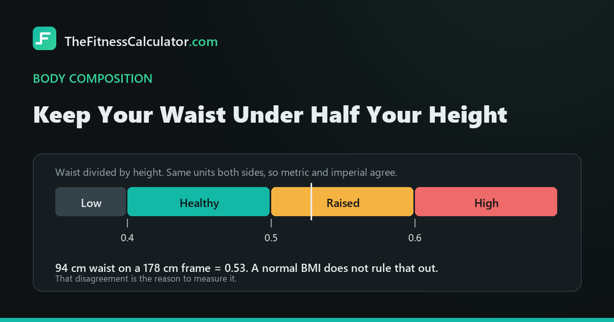 Waist to height ratio scale with bands at 0.4, 0.5 and 0.6, and a worked example of a 94 cm waist on a 178 cm frame giving 0.53