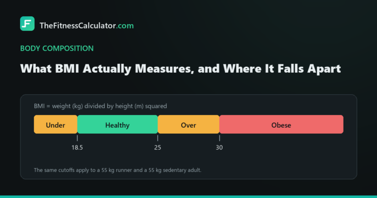 BMI scale showing the underweight, healthy, overweight and obese bands with cutoffs marked at 18.5, 25 and 30